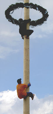 Maibaumkraxler – Der Brauch des Maibaumbesteigens wird vor allem in den Alpenländern gepflegt