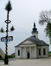 Maibaum in Oberdischingen